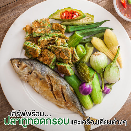 My Image 24