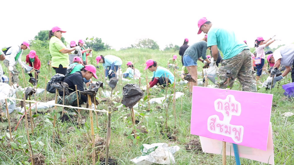 growing-green-together-10 growing-green-together-10