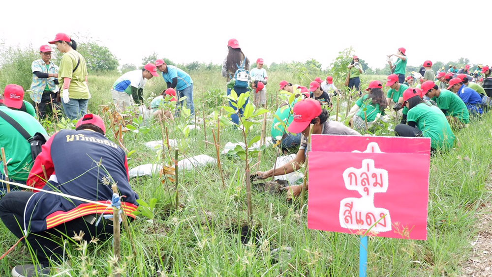 growing-green-together-11 growing-green-together-11