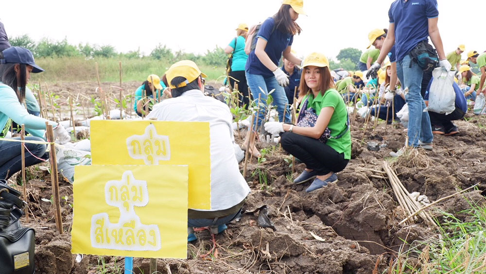 growing-green-together-12 growing-green-together-12