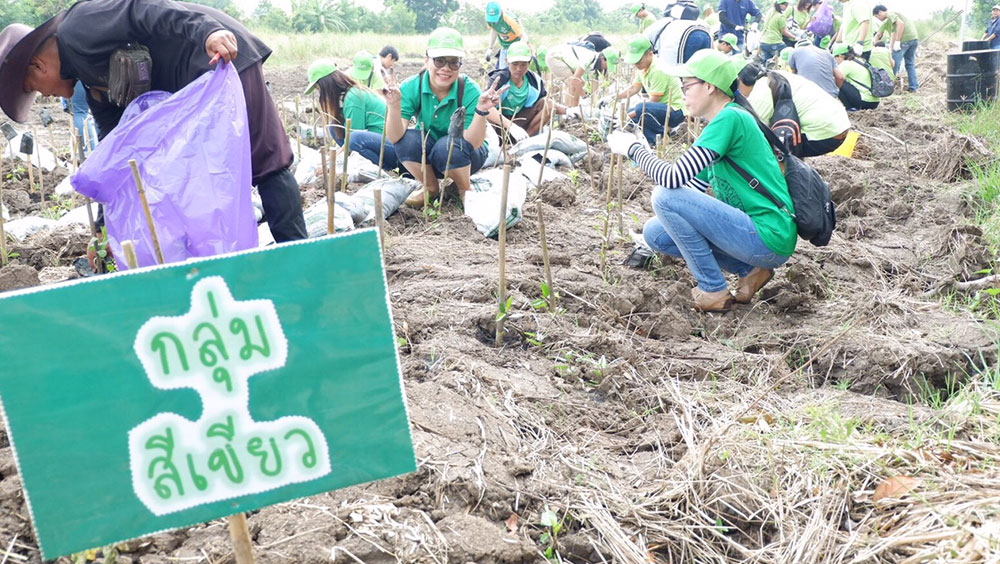 growing-green-together-13 growing-green-together-13